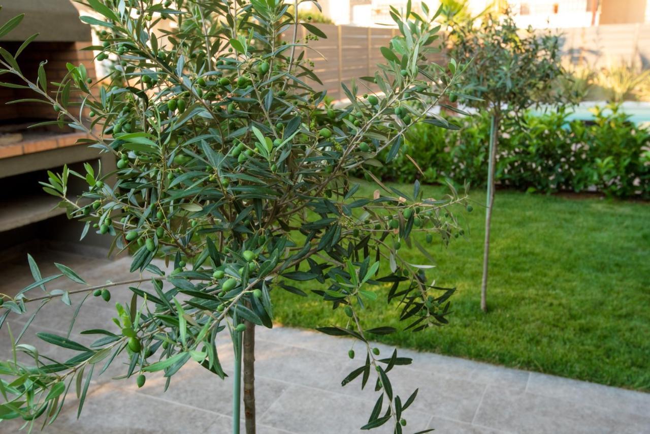 Appartement Olive 302 à Peraía Extérieur photo